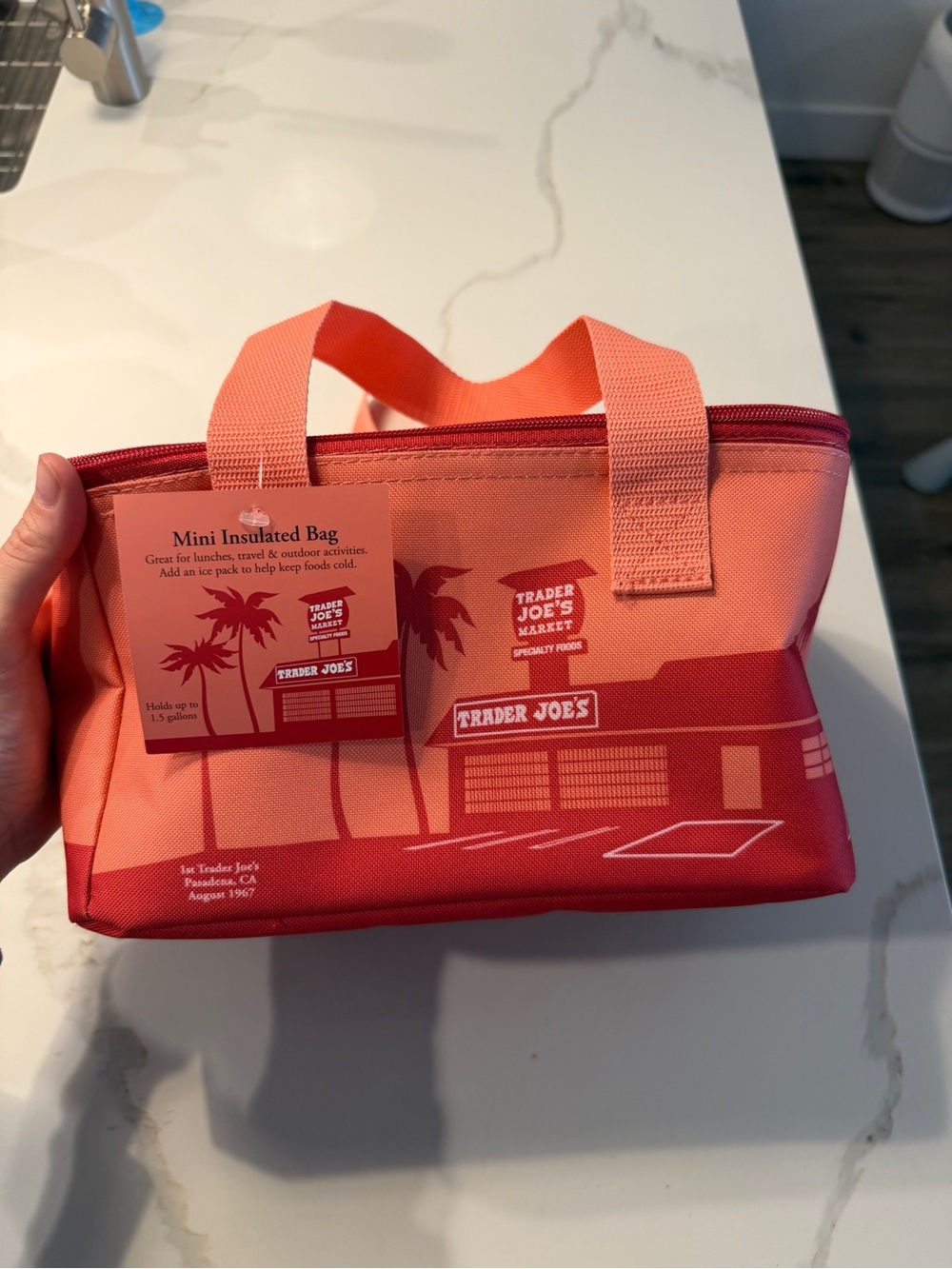 NWT Trader Joe’s Mini Insulated Bag - Coral and Red